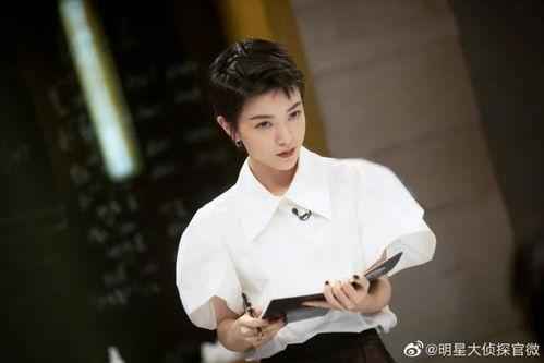 明星大侦探 何舒,揭秘悬疑背后的智慧与魅力