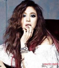 elle韩国明星,ELLE杂志封面人物大盘点