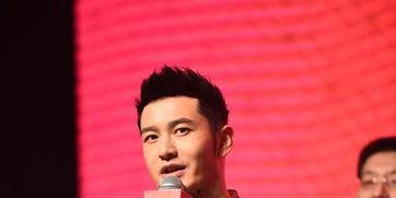 强要 明星 总裁,总裁的甜蜜征服之路