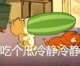 老板爆料杰瑞视频大全下载