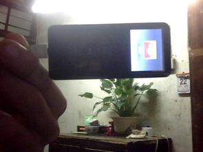 中国高清无码种子视频mp4下载,揭秘高清无码种子视频MP4下载全攻略