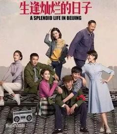 生逢灿烂日子免费观看,免费畅享青春记忆