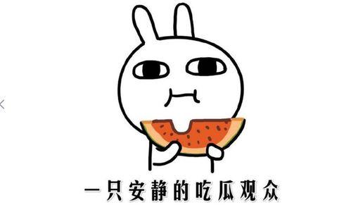 吃瓜群什么意思是什么,网络社交新现象背后的文化解读