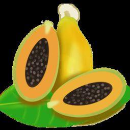 吃瓜娱乐素材下载免费版,轻松获取热门资讯！