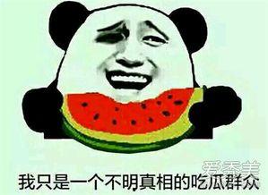 吃瓜视频是什么意思,网络热议背后的娱乐现象